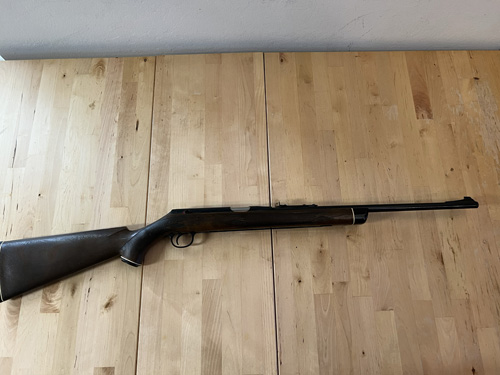Daisy .22 Cal. VL Rifle